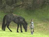 sotc2.jpg