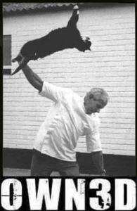 owned-cat_jpg.jpg