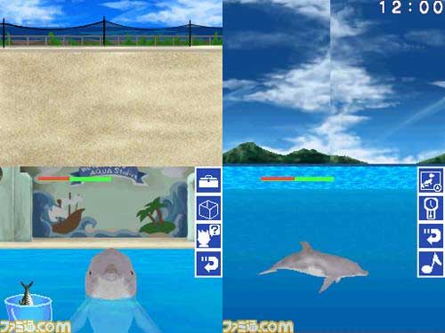 Starfish almost makes Nintendolphins images