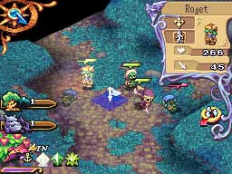 homusa5.jpg