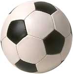 l5soccer.jpg