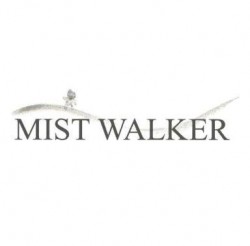 2 New DS RPGs from Mistwalker images