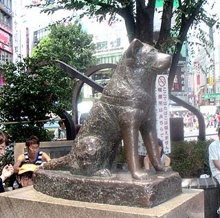 hachiko.jpg