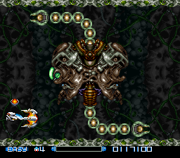 srtype1.png
