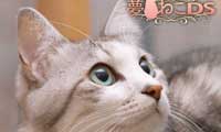 Sega promotes DS cat game with actual cats