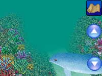 Starfish invites you to vacation with virtual dolphins images