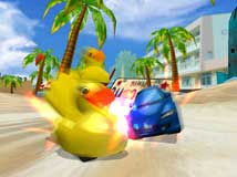 duckq.jpg