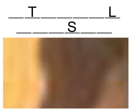 atlus.jpg