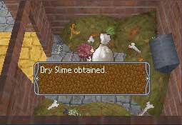 ds.jpg