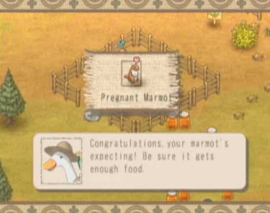 sc3.jpg