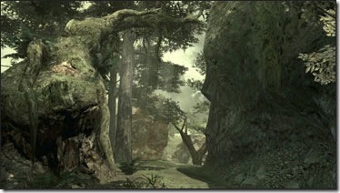 mgo_f