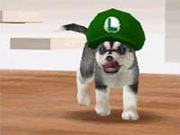 nintendogs.jpg