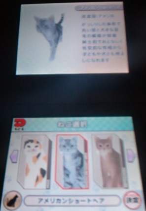 Cat selection screen