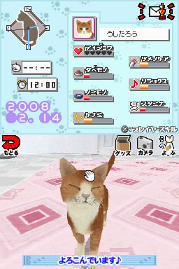 A clear official image from Yume Neko DS