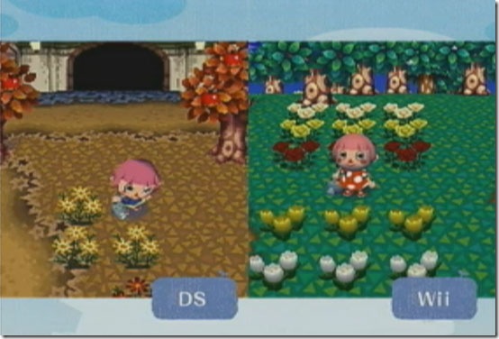 Here S What Your Ds Animal Crossing Character Looks Like On The Wii Siliconera