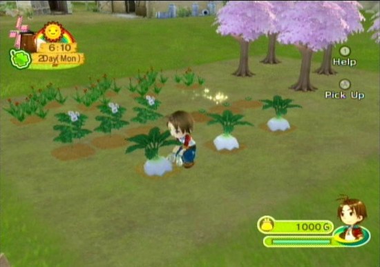 harvest moon animal parade 3