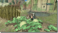 NIER Cultivate3 Caring