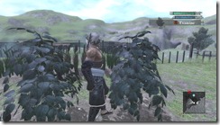 NIER Cultivate4 harvest