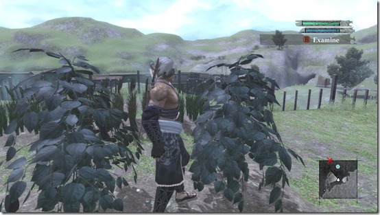 NIER Cultivate4 harvest