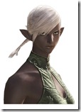 [Elezen]Wildwood_f_bust