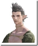 [Elezen]Wildwood_m_bust