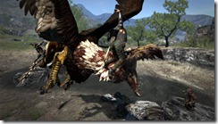 dragonsdogma1