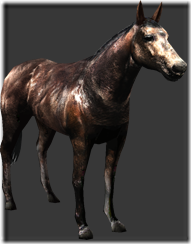 horse_a