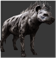 hyena_leader