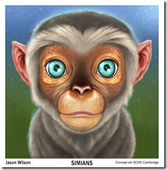 simian_face_FINAL