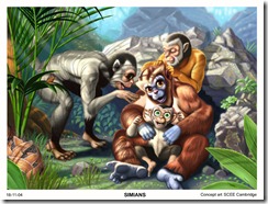 simian_family