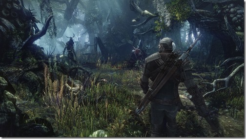 WITCER3_screenshots (1)