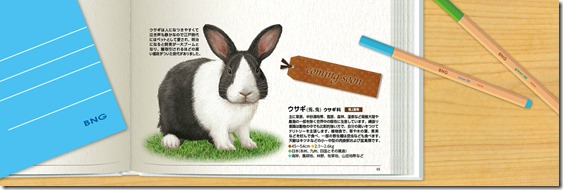 Namco Bandai Are Teasing... A Bunny Rabbit? - Siliconera