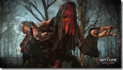 The_Witcher_3_Wild_Hunt-Witch