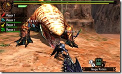 mh4u_tgs_24