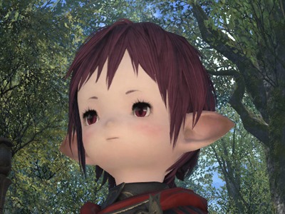 Hairstyles  Final Fantasy XIV A Realm Reborn Wiki  FFXIV  FF14 ARR  Community Wiki and Guide