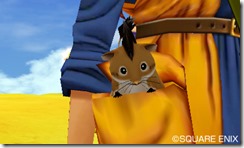 dq8 13
