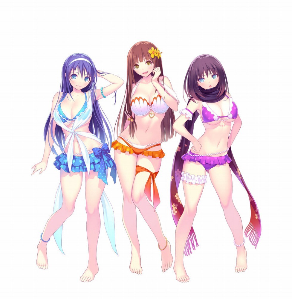 Valkyrie Drive Release Date & Takaki Designed Rice Exclusive