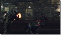 13165938_1169905483030337_7339216972665382308_n