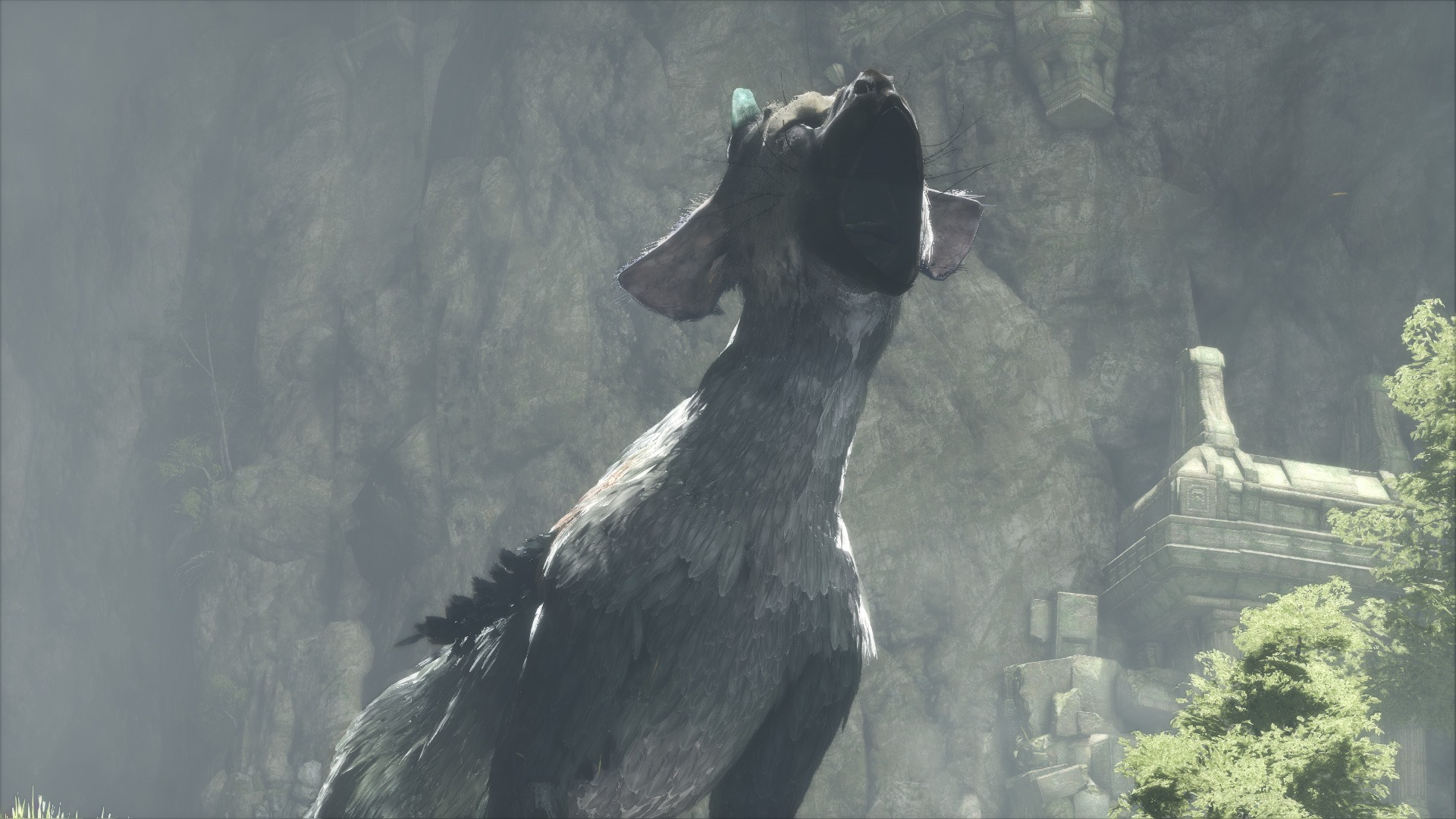 The Last Guardian Walkthrough - Part 2 - Escaping the cave with