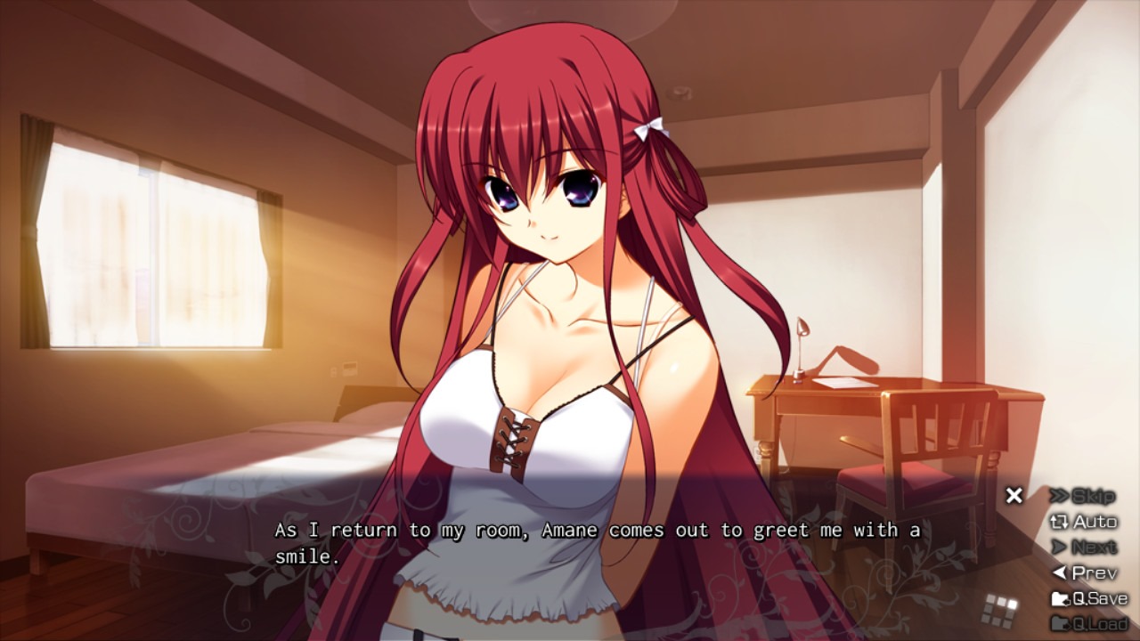 The Fruit of Grisaia on Steam
