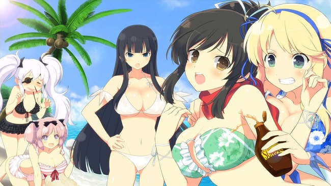 Senran Kagura Burst review – booby prize