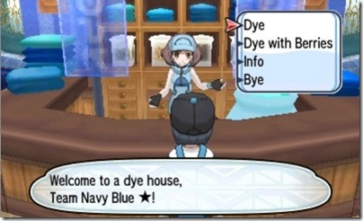 pokemon sun festival plaza 2