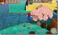 STORY OF SEASONS_ Trio of Towns - Mario 02