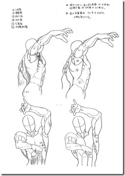Anatomy_A_Strange_Guide_for_Artists_08