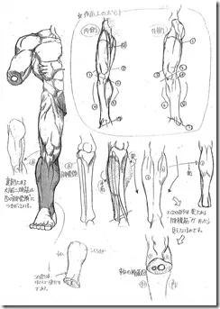 Anatomy_A_Strange_Guide_for_Artists_10