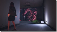 34346391944_47e8a7700c_o