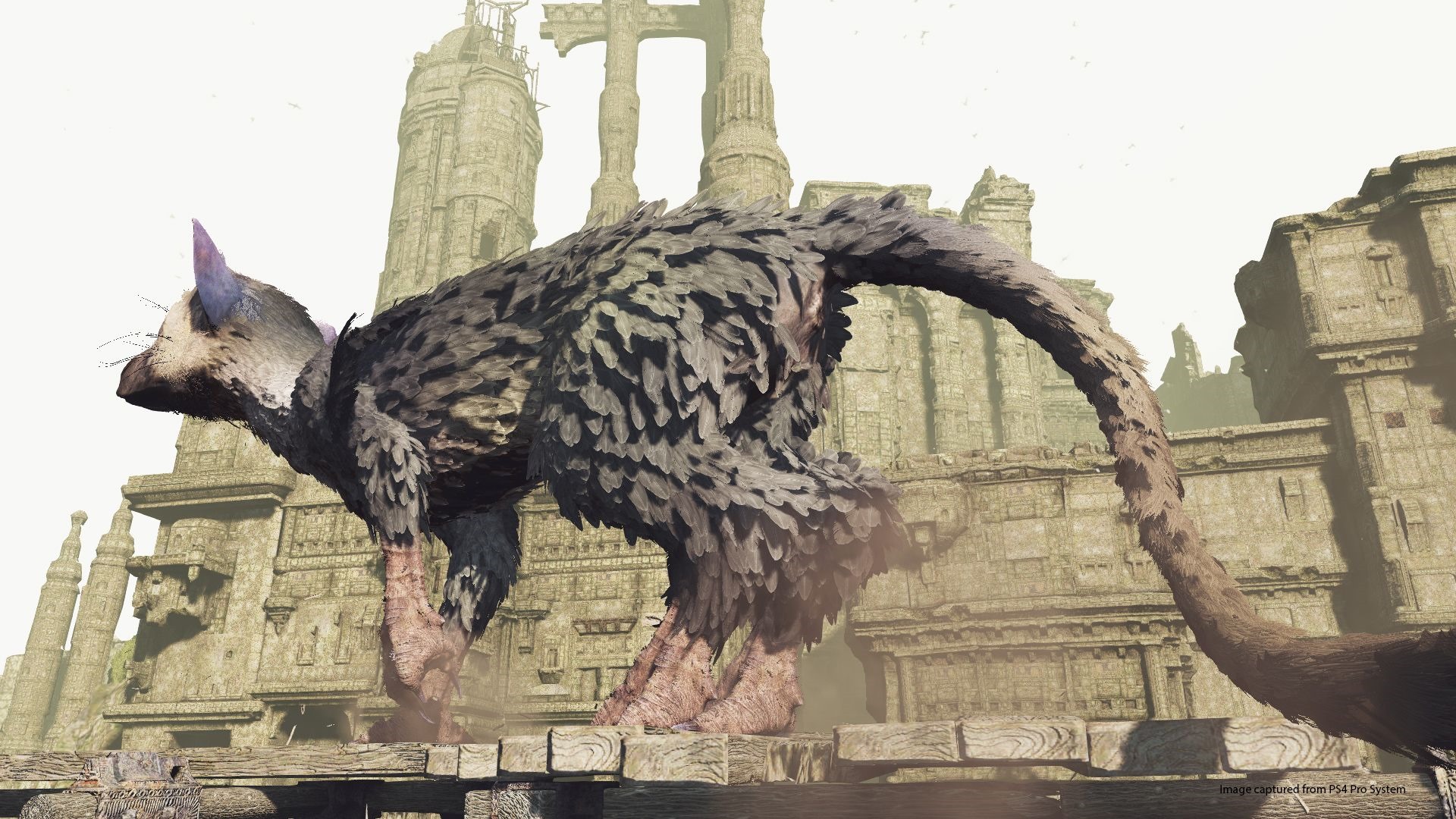 The Last Guardian's VR demo is a perfect showcase for the medium