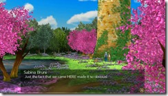 elneakingdom_sw_ss111