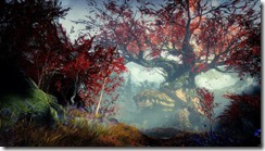 28113313318_c3b761eb25_z