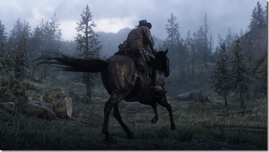 Red Dead Redemption 2 (18)